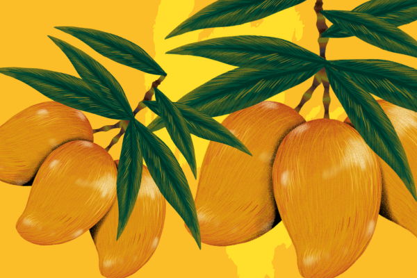 healthy fruits and vegetables