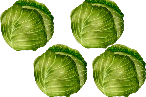 healthy fruits and vegetables