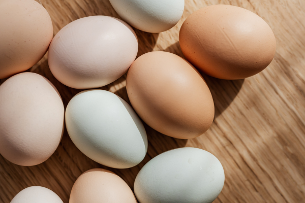 protein rich food items